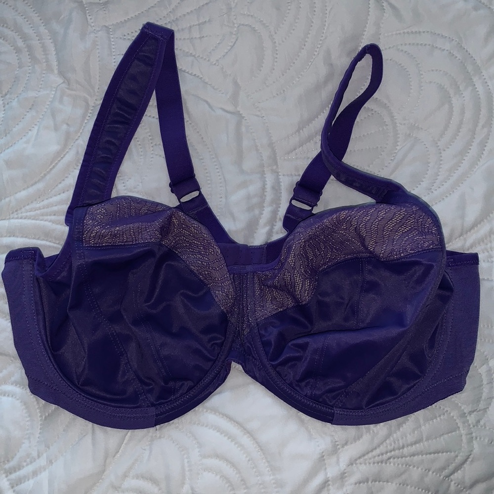 Goddess Purple Bra